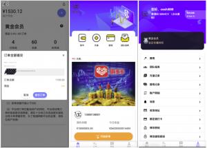 投资理财爆款_海外多语言 抢单商城 定制UI 海外刷单 商城抢单系统 订单自动匹配系统 叠加组 打针福利单 海外源码_T8技术