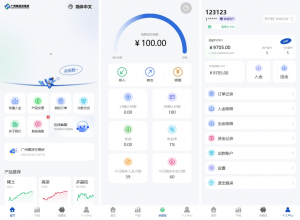 交易所微盘爆款_期货微盘 海外多语言 时间盘系统 多语言微交易系统 前端UNIAPP_T8科技