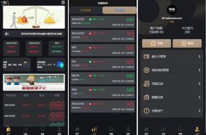投资理财爆款_海外全新多语言 微盘系统 时间盘系统 外汇期货微交易_T8技术
