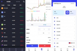 交易所微盘爆款_新版多语言综合盘系统 合约挂单交易 综合盘交易所 FX7综合外汇交易软件源码 秒合约交易_T8科技