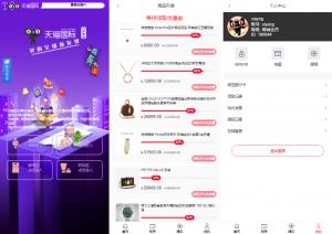 投资理财爆款_全新多语言 奢饰品投资理财 新版开发天猫商城 海外投资理财优惠卷投资系统_T8技术