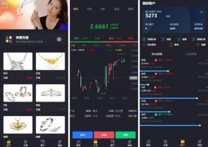 投资理财爆款_海外多语言微交易 贵金属微盘交易平台 二开版微交易系统 前端uinapp 后端thinkphp_T8技术