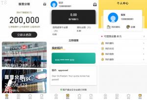 投资理财爆款_多语言海外贷款系统 中英双语小额贷款系统 贷款投资系统 网贷系统 贷款系统 UI_T8技术
